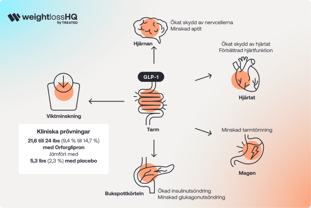 SE_Health Guide _Orforglipron health guide